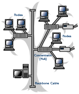 http://fcit.usf.edu/network/chap5/pics/tree.gif