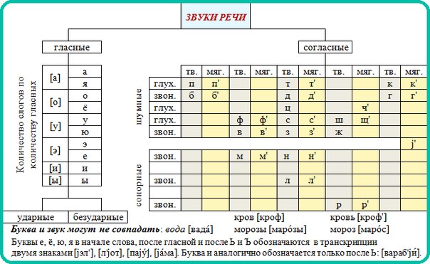 Фонетика русского языка в таблицах и схемах