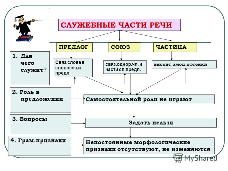 Проект по русскому языку 7 класс служебные части речи