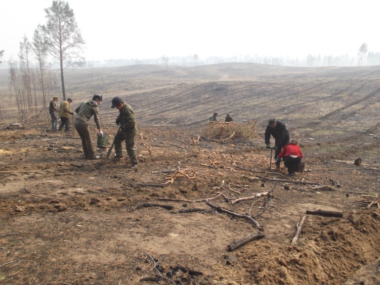 DSCF4708.JPG