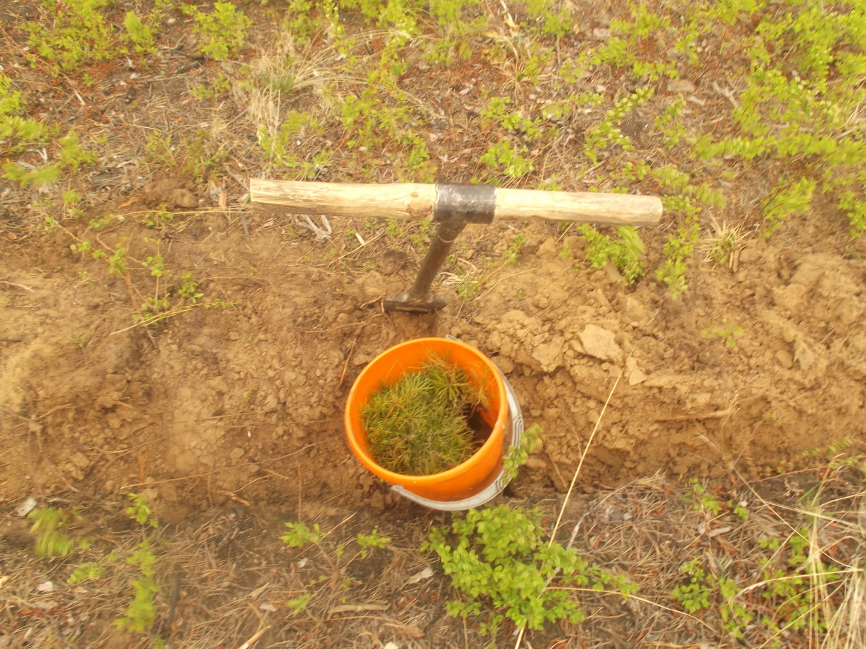 DSCF4873.JPG