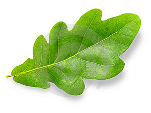 http://thumbs.dreamstime.com/thumb_609/1306980256mZn7Si.jpg
