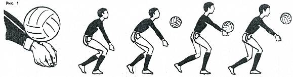 http://www.school61.ru/metodkopilka/fizkultura/voleibol/voleibol.files/image002.jpg