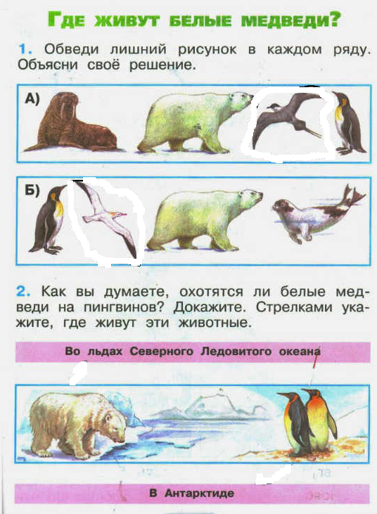 Презентация по окружающему миру 1 класс где живут белые медведи школа россии