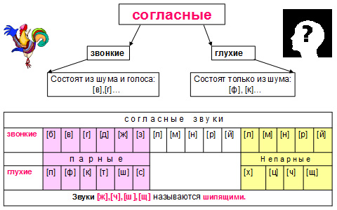 Согласные звуки в слове язык. Глухие согласные звуки в русском языке таблица 1 класс. Звонкие согласные звуки в русском языке таблица 4. Таблица звонких и глухих согласных звуков русского языка. Глухие и звонкие согласные звуки 1 класс таблица.