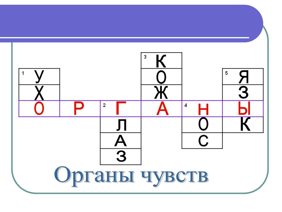 К. У. О. Я. Х. Ж. З. О. Р. Г. А. Ы. Н. О. К. Л. А. С. З. Органы чувств.