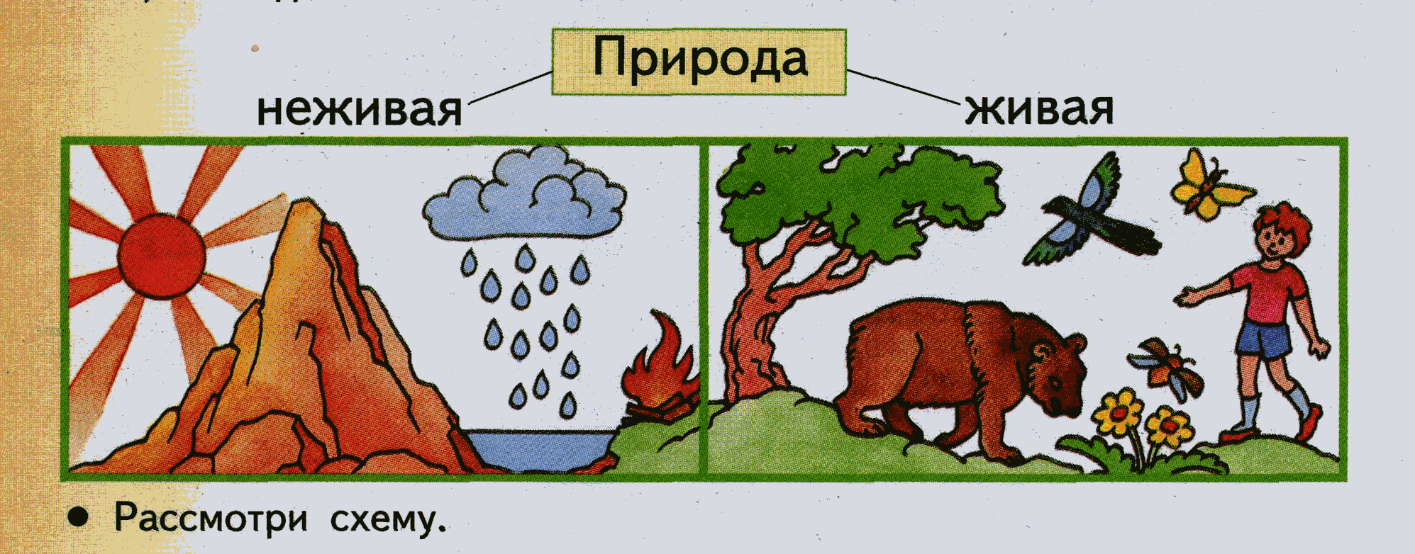 Взаимосвязь живой и неживой природы в картинках 2 класс