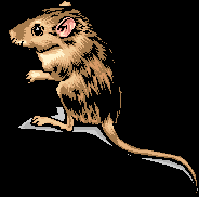 C:\Documents and Settings\User\Рабочий стол\Clip Art\Animals\млекопитающие\AN01359_.wmf