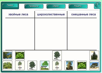 D:\мама\аттестация\аттестация 2013\конкурсные работы\смарт\Новая папка\мое\конкурс\скриншоты\3.JPG