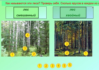 D:\мама\аттестация\аттестация 2013\конкурсные работы\смарт\Новая папка\мое\конкурс\скриншоты\9б.JPG