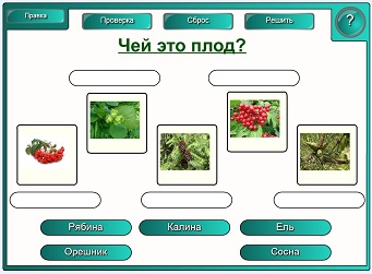 D:\мама\аттестация\аттестация 2013\конкурсные работы\смарт\Новая папка\мое\конкурс\скриншоты\5.JPG