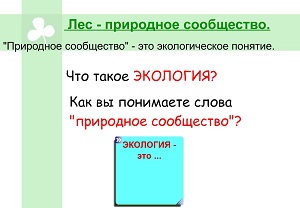 D:\мама\аттестация\аттестация 2013\конкурсные работы\смарт\Новая папка\мое\конкурс\скриншоты\7б.JPG