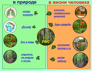 Изучение природного сообщества леса 4 класс по плану