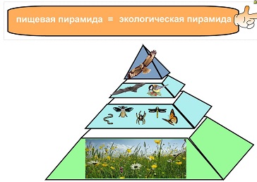 D:\мама\аттестация\аттестация 2013\конкурсные работы\смарт\Новая папка\мое\конкурс\скриншоты\15а.JPG