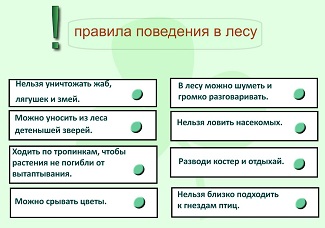 D:\мама\аттестация\аттестация 2013\конкурсные работы\смарт\Новая папка\мое\конкурс\скриншоты\20.JPG