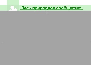 D:\мама\аттестация\аттестация 2013\конкурсные работы\смарт\Новая папка\мое\конкурс\скриншоты\7.JPG